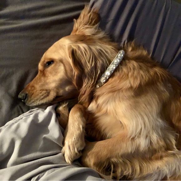 Smoke free/Pet friendly💛 - Picture 8 of 16